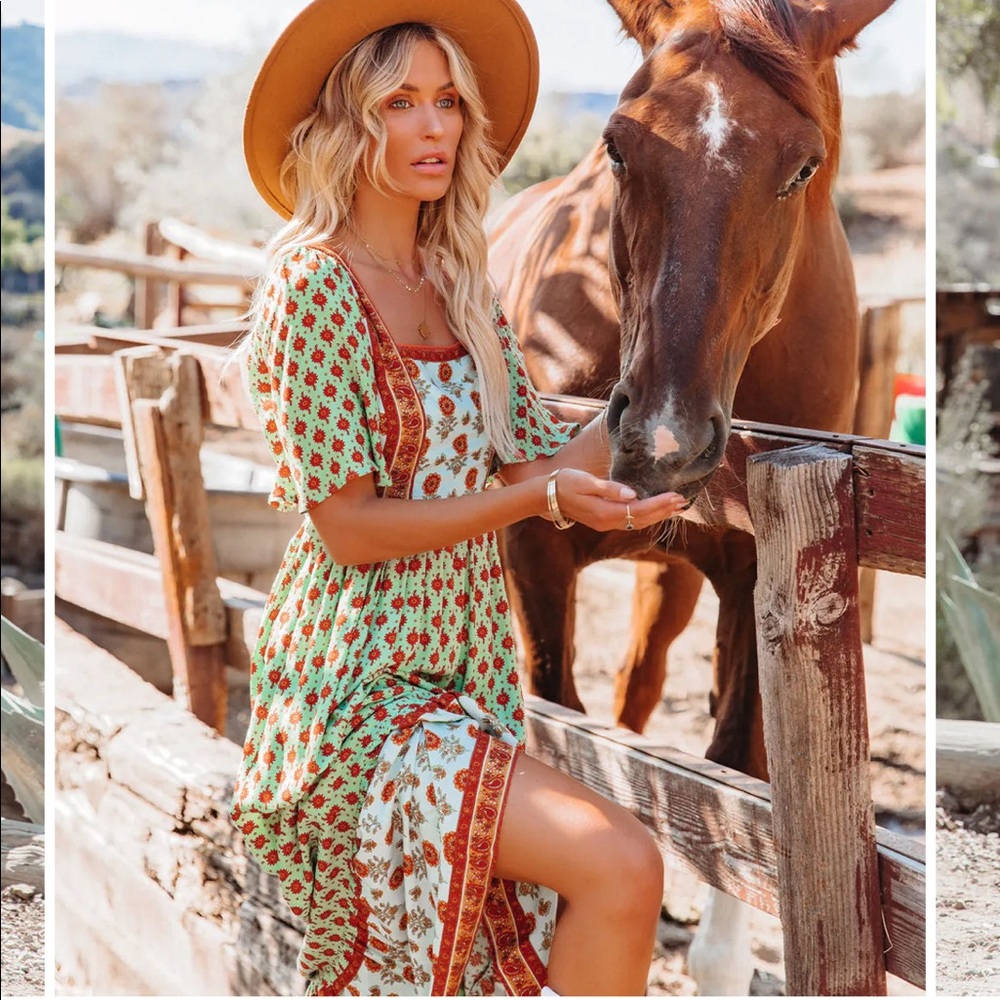 VICI printed dress NWOT